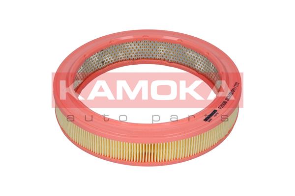 Воздушный фильтр kamoka KAMOKA F200301