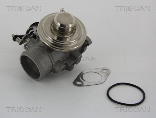 Клапан возврата ог TRISCAN 8813 29001