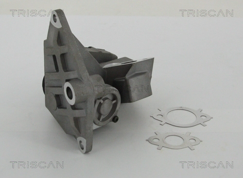 Клапан возврата ог TRISCAN 8813 29047