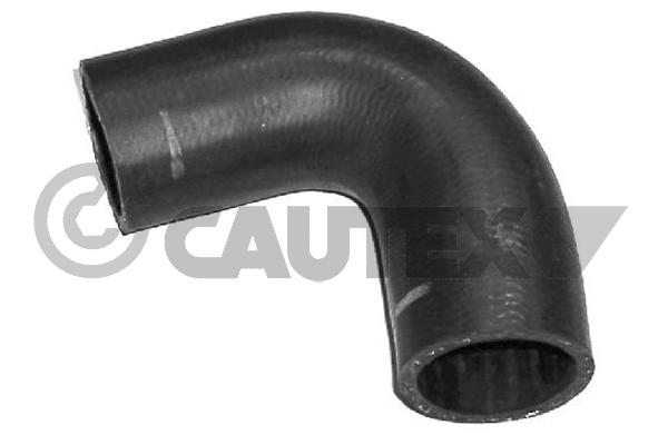 Шланг радиатора CAUTEX 016308