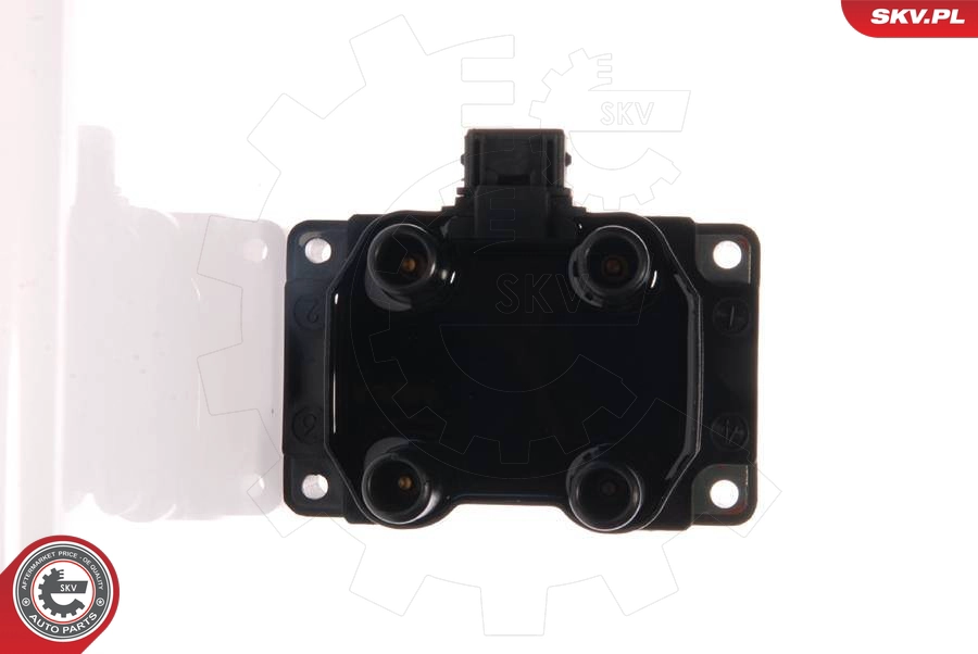 Катушка зажигания SKV 03SKV010