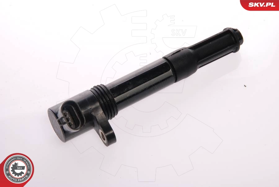 Катушка зажигания SKV 03SKV028
