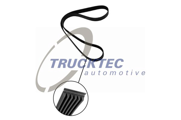 Поликлиновой ремень TRUCKTEC AUTOMOTIVE 08.19.068