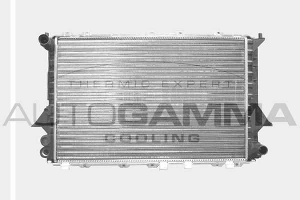 Радиатор охлаждение двигателя AUTOGAMMA 100060