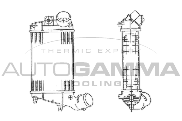 Интеркулер AUTOGAMMA 103008