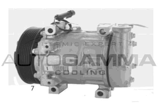 Компрессор кондиционер AUTOGAMMA 118567