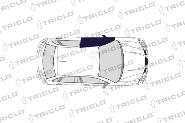 Наружная ручка двери TRICLO 121611