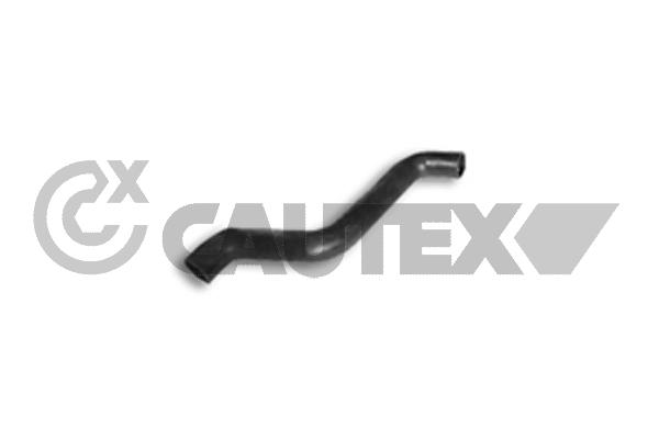 Шланг радиатора CAUTEX 216017