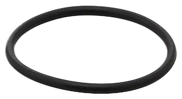 Уплотнительное кольцо ELRING 311.320