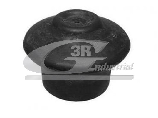 Подвеска двигатель 3RG 40763