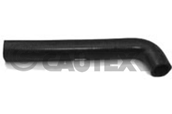 Шланг радиатора CAUTEX 466041