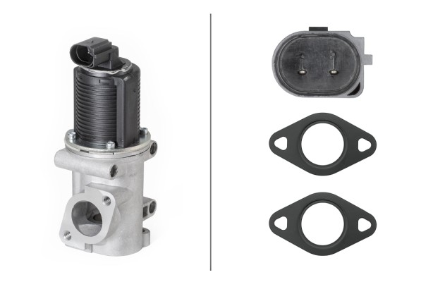 Клапан возврата ог HELLA/BEHR/PAGID 6NU 010 171-541