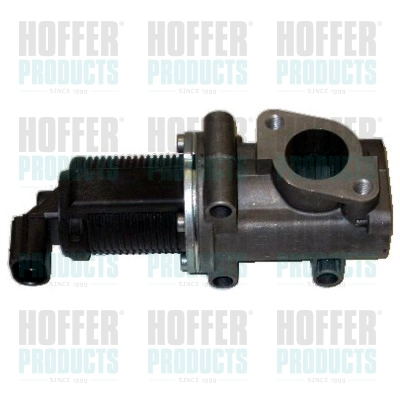 Клапан возврата ог HOFFER 7518007R