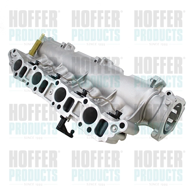 Модуль впускной трубы HOFFER 7519276