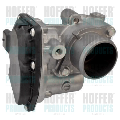 Корпус дроссельной заслонки HOFFER 7519330