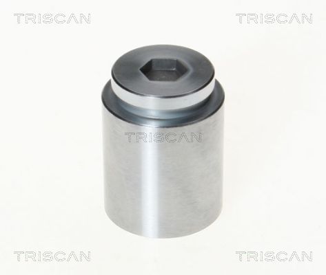 Поршень корпус скобы тормоза TRISCAN 8170 233604