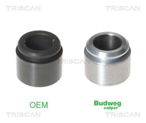 Поршень корпус скобы тормоза TRISCAN 8170 233837
