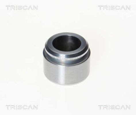 Поршень корпус скобы тормоза TRISCAN 8170 233855