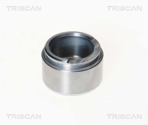 Поршень корпус скобы тормоза TRISCAN 8170 234809
