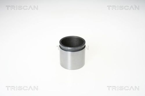 Поршень корпус скобы тормоза TRISCAN 8170 235476