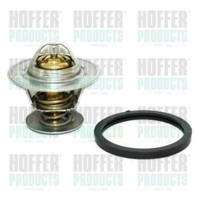 Термостат охлаждающая жидкость HOFFER 8192193