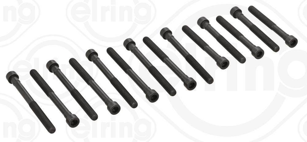 Комплект болтов головки цилидра ELRING 819.980