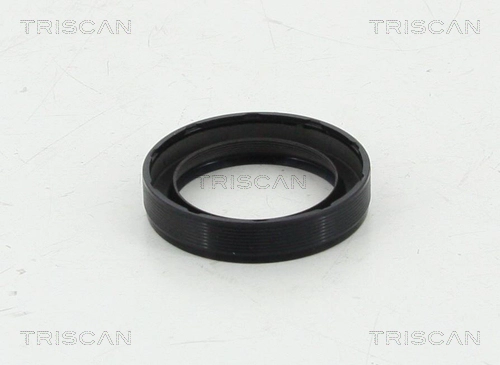 Уплотняющее кольцо коленчатый вал TRISCAN 8550 10050