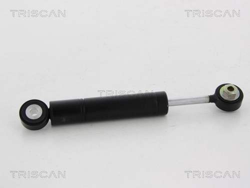 Амортизатор поликлиновой ремень TRISCAN 8641 293045