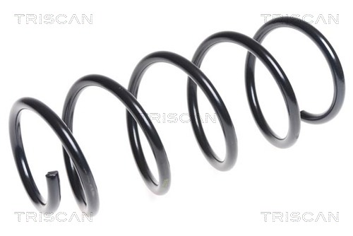 Пружина ходовой части TRISCAN 8750 1215