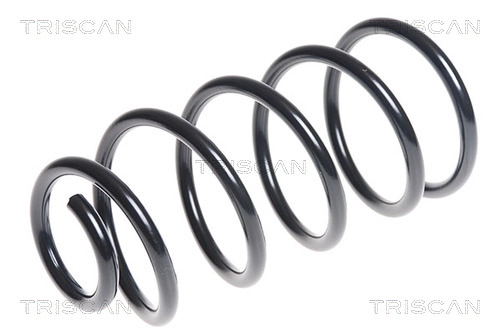 Пружина ходовой части TRISCAN 8750 1216