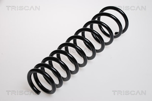 Пружина ходовой части TRISCAN 8750 1554