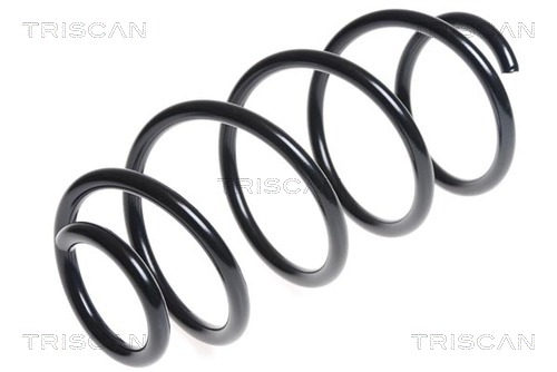 Пружина ходовой части TRISCAN 8750 29325