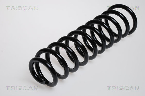 Пружина ходовой части TRISCAN 8750 2973