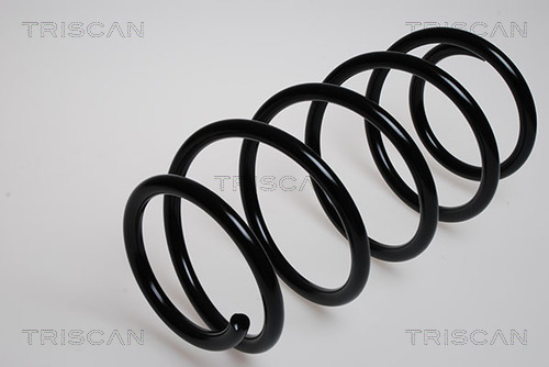 Пружина ходовой части TRISCAN 8750 2980