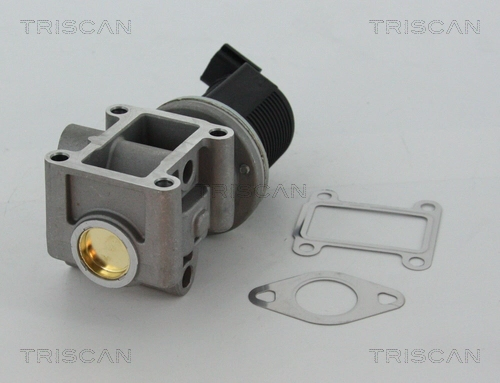 Клапан возврата ог TRISCAN 8813 24082