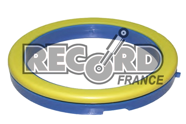 Подшипник качения опора стойки амортизатора RECORD FRANCE 924964
