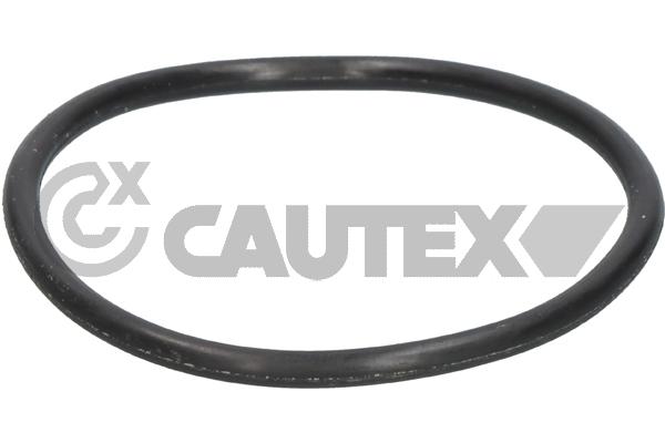 Прокладка термостат CAUTEX 952036