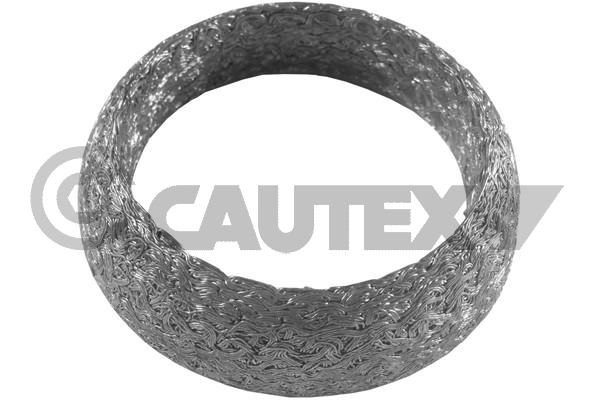 Уплотнительное кольцо труба выхлопного газа CAUTEX 954276