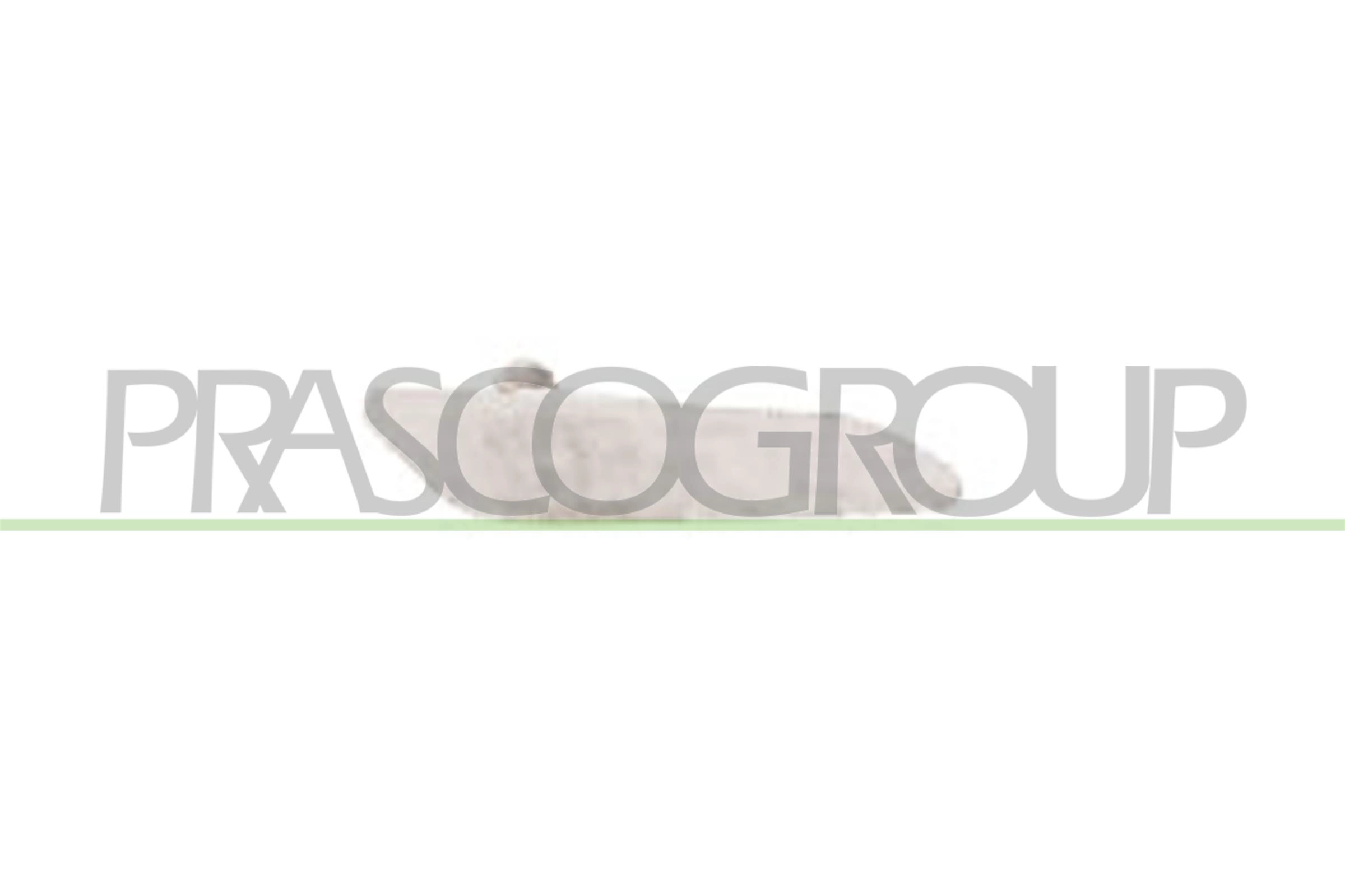 Фонарь указателя поворота PRASCO AA0804042