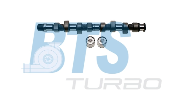 Комплект распредвала BTS TURBO CP60207