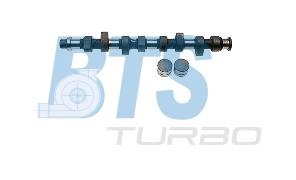 Комплект распредвала BTS TURBO CP60219