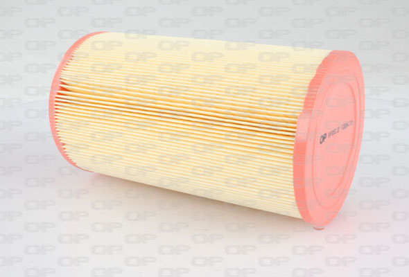 Воздушный фильтр OPEN PARTS EAF3062.20