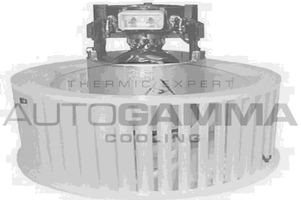 Вентилятор салона AUTOGAMMA GA20154