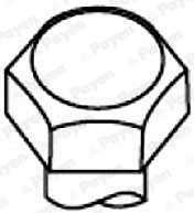Комплект болтов головки цилидра PAYEN HBS116