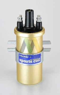 Катушка зажигания MOTAQUIP LVCL219
