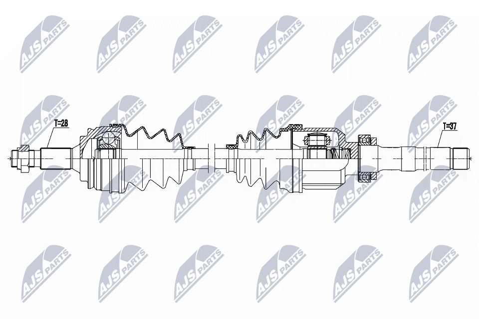  NTY NPW-CT-123