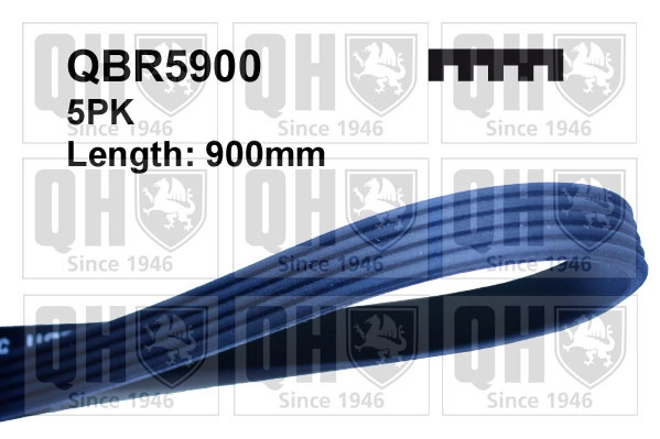 Поликлиновой ремень QUINTON HAZELL QBR5900