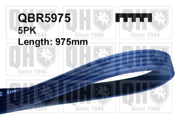 Поликлиновой ремень QUINTON HAZELL QBR5975