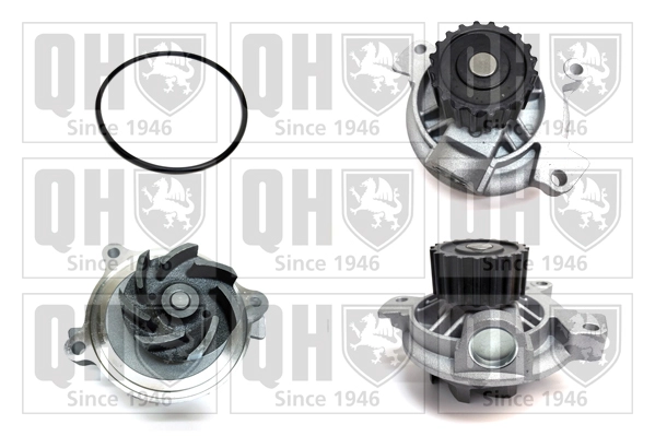 Водяной насос охлаждение двигателя QUINTON HAZELL QCP3620
