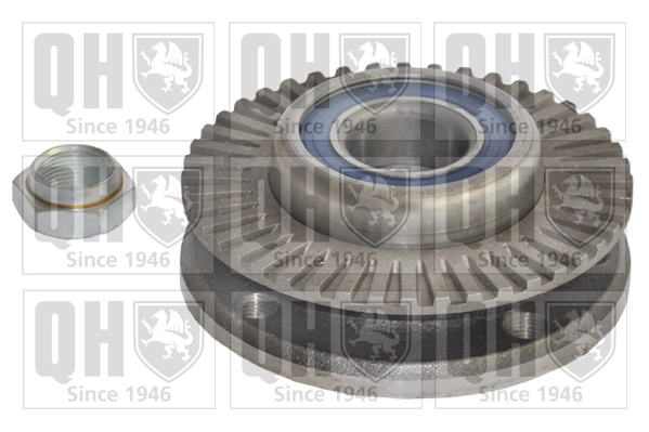 Комплект подшипника ступицы колеса QUINTON HAZELL QWB734